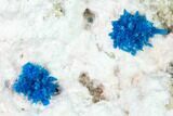 Vibrant Blue Cavansite Clusters on Stilbite & Mordenite - India #168248-1